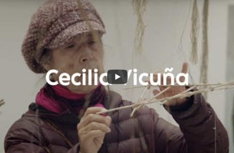 Video: Meet the Artists: Cecilia Vicuña