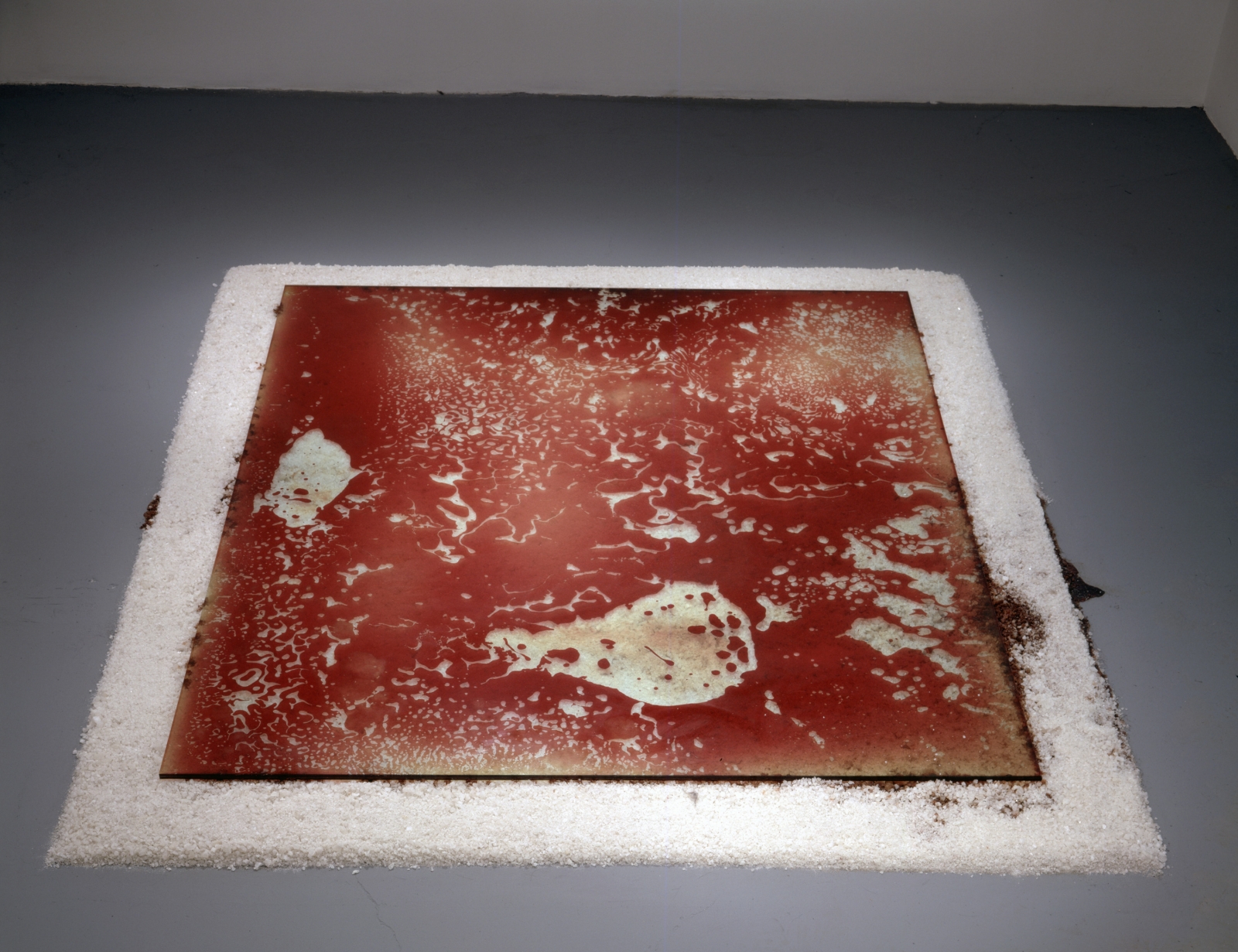 Red on White, 1993, 1/2 gallon of blood, glass, rock salt