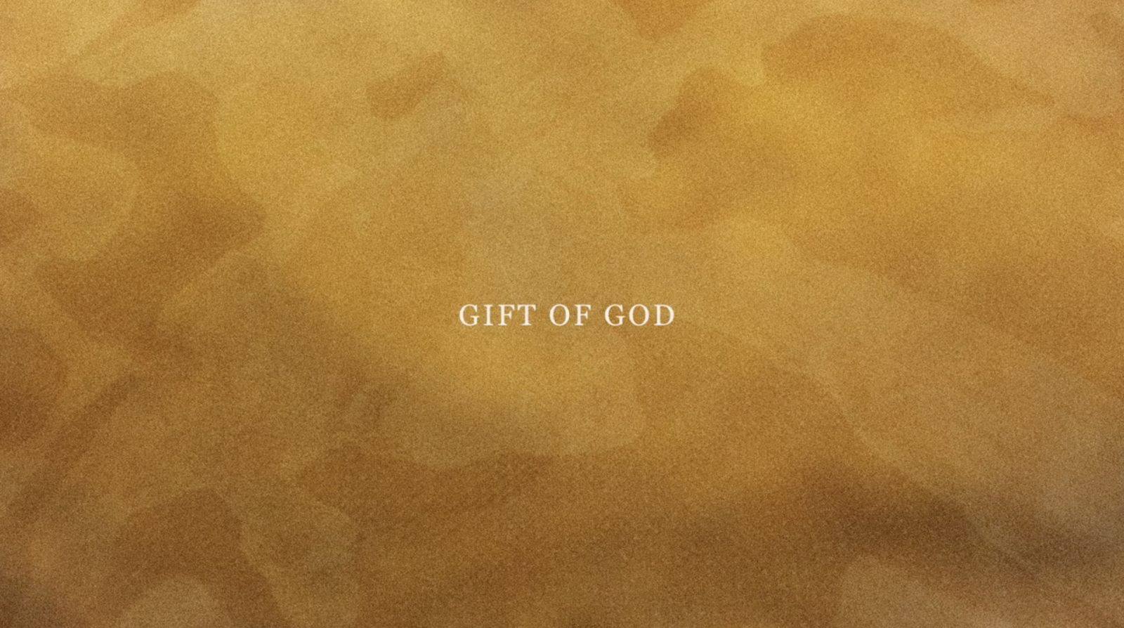 NARI WARD, Gift of God, 2020