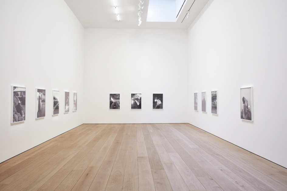 Catherine Opie: The Modernist Installation view 3